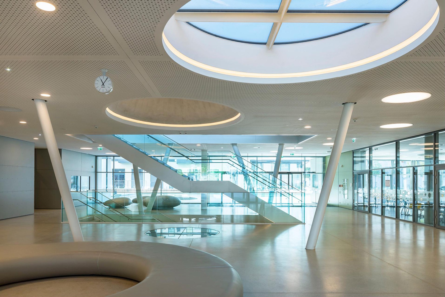 &copy; Rupert Steiner