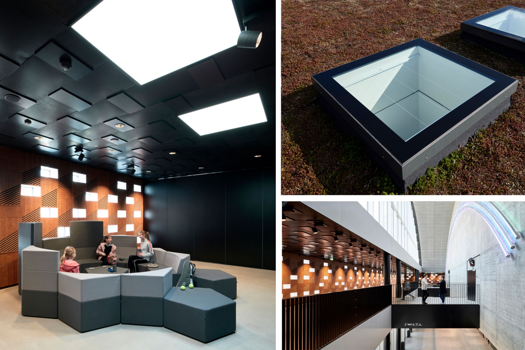 Velux Modular Rooflights sorgen durch punktuelle Belichtung mit Monolights im Sportbau K.B. Hallen in D&auml;nemark immer f&uuml;r die richtige Menge Licht. &copy;️ Mads Frederik/ Velux Commercial