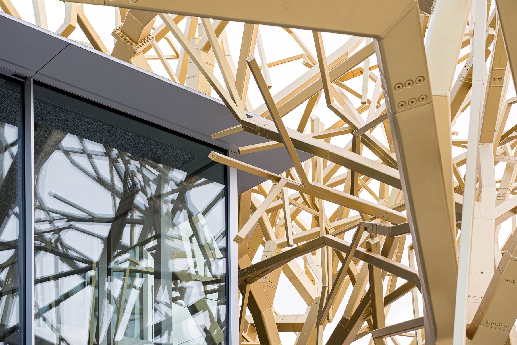 Die goldbeschichteten B&auml;ume aus Stahl verdecken das neue Archivgeb&auml;ude und bringen Glanz auf den Marktplatz. &copy; Sebastian Kolm Architekturfotografie